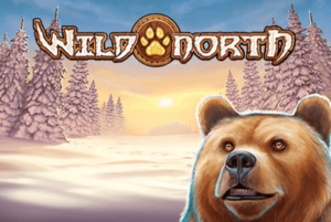 Wild North