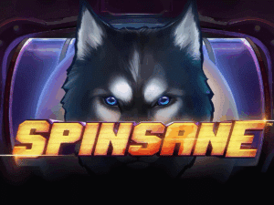 Spinsane