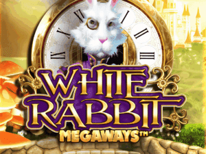 White Rabbit