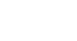 DLV