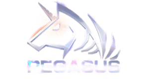 Pegasus