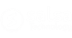 Salsa Technology