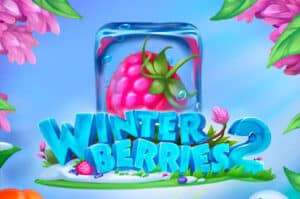 Winterberries 2