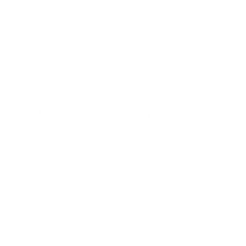 playtech logo white