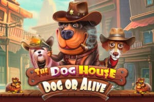 The Dog House Dog or Alive